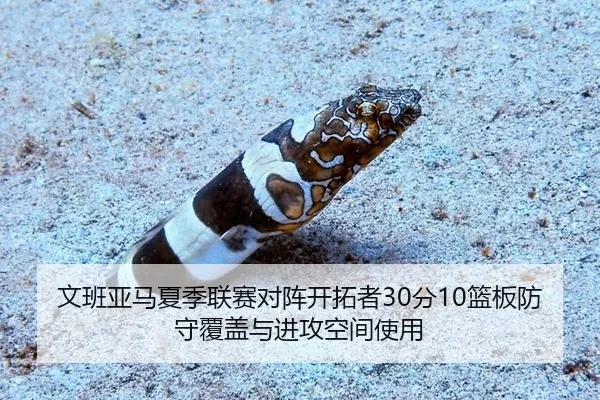 wen-ban-ya-ma-xia-ji-lian-sai-dui-zhen-kai-tuo-zhe-fen-lan-ban-fang-shou-fu-gai-yu-jin-gong-kong-jian-shi-yong-2-403.jpg